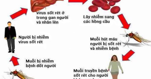 Người dùng muốn tìm kiếm vaccine sốt rét hiện đang được sử dụng và khuyến nghị bởi Tổ chức Y tế Thế giới.