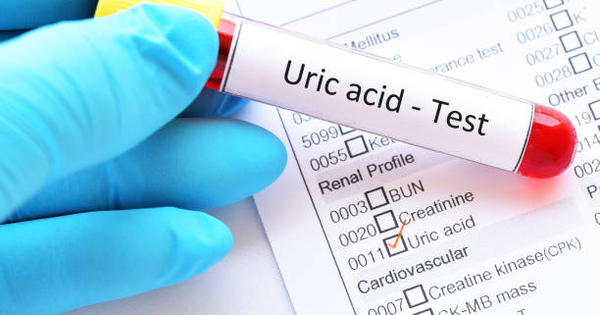 Thận có vai trò gì trong quá trình chuyển hóa acid uric?
