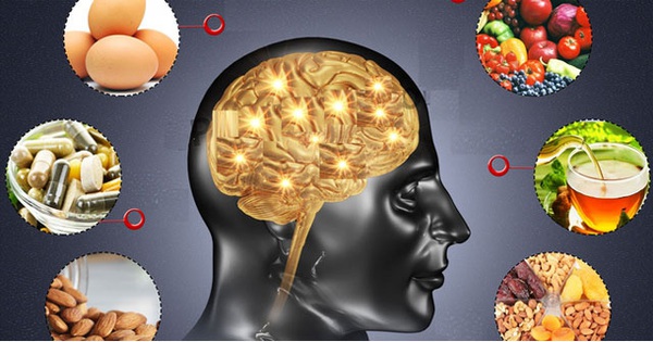 Cây bạch quả (Ginkgo biloba) có tác dụng gì trong việc bổ não?
