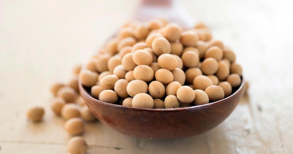Những ai không nên ăn nhiều hạt đậu nành? Những ai không nên ăn nhiều hạt đậu nành?