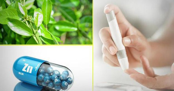 thumbnail - Kết hợp thảo dược và nguyên tố vi lượng trong hỗ trợ phòng ngừa biến chứng bệnh tiểu đường