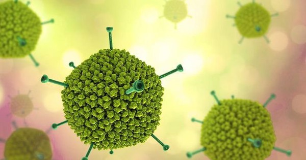 Adenovirus có ảnh hưởng đến hệ hô hấp như thế nào? 
