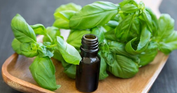 Mẹo hay giảm triệu chứng ù tai trái
