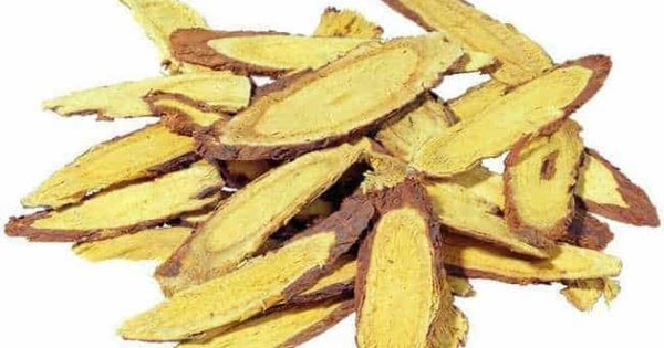 Cam thảo bắc hỗ trợ hệ tiêu hóa