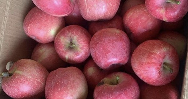 GIÁ RẺ VÀ VỊ THƠM NGON KHIẾN NHIỀU NGƯỜI TIÊU DÙNG CHỌN MUA DÙ LO NGẠI VỀ AN TOÀN
