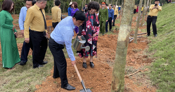 Hàng trăm cây xanh được trồng mới nhân dịp Tết trồng cây tại đền Chung Sơn – Đền thờ gia tiên Chủ tịch Hồ Chí Minh