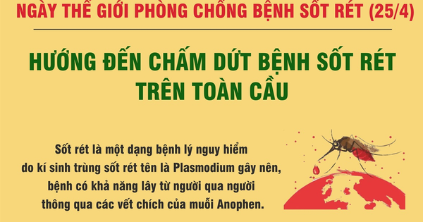 Ngày Thế Giới Phòng Chống Sốt Rét: Việt Nam Nỗ Lực Để Đạt Mục Tiêu Không  Còn Sốt Rét