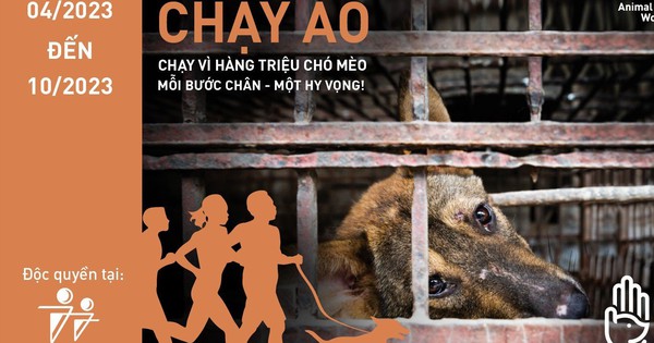 Phát động giải chạy trực tuyến nhằm chấm dứt tình trạng buôn bán thịt chó, mèo