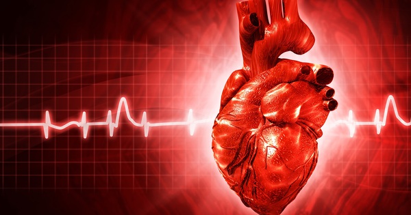 Những người có nguy cơ cao bị rối loạn nhịp tim?
