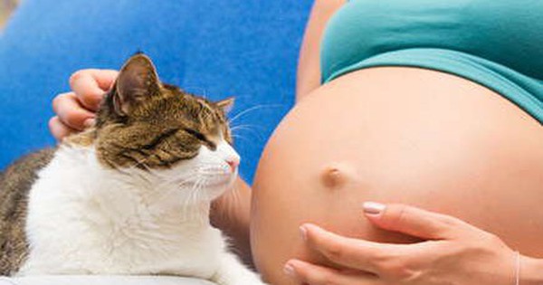 Health Risks When Expecting Mothers Own Pets