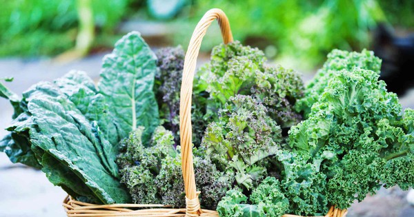 Cách sử dụng rau cải xoăn