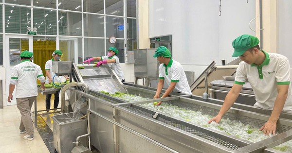Thaphaco: Nâng tầm Dược liệu Việt Nam – Lựa chọn An toàn và Tin cậy cho Sức khỏe Cộng đồng