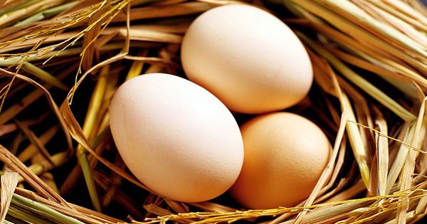 Có phải loại bỏ trứng và chất béo hoàn toàn khỏi chế độ ăn uống mới có thể điều trị được cao huyết áp? 