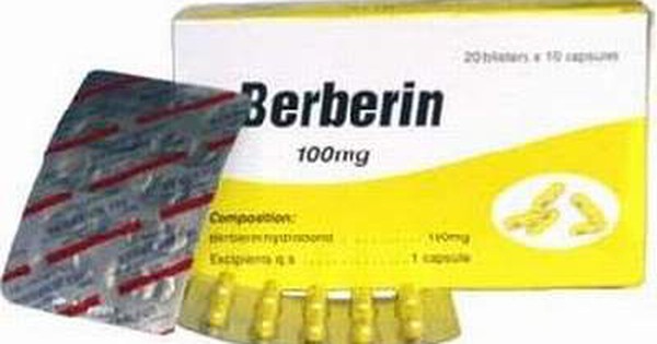 Berberin có tác dụng như thế nào trong việc điều trị bệnh?