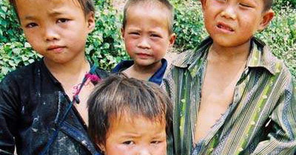 Hôn nhân cận huyết thống: Nguyên nhân làm suy giảm sức khỏe