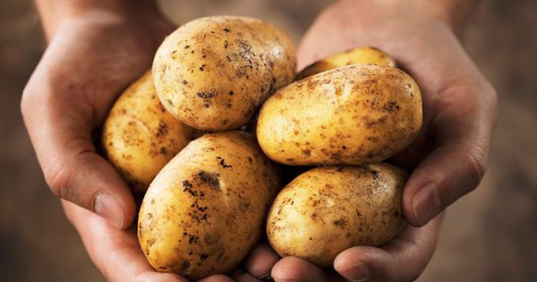 Hại sức khỏe vì ăn khoai tây sai cách