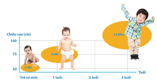 Bé phát triển chiều cao nhanh nhất ở giai đoạn nào