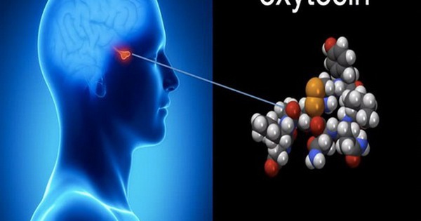 Hormone oxytocin là gì và tác dụng của nó trong tình yêu và quan hệ tình dục?
