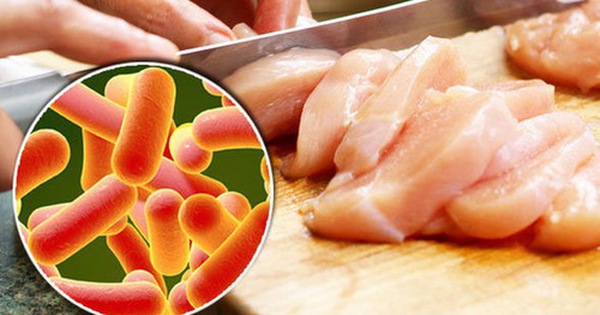 Ngộ độc thực phẩm do vi khuẩn Salmonella và cách xử trí