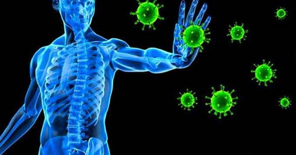Tác động của suy giảm miễn dịch đến hệ thống hàng rào miễn dịch của cơ thể như thế nào?
