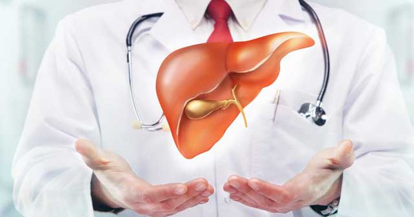 20 - 30% dân số Việt Nam mắc bệnh gan nhiễm mỡ