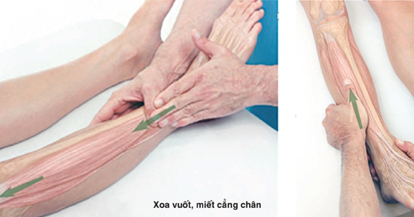 Where is xương mác located in the body and what are its functions?