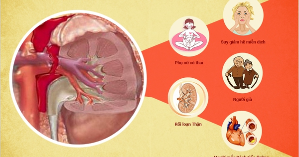 Các bước kiểm tra và xác định rối loạn về thận tiết niệu là gì?
