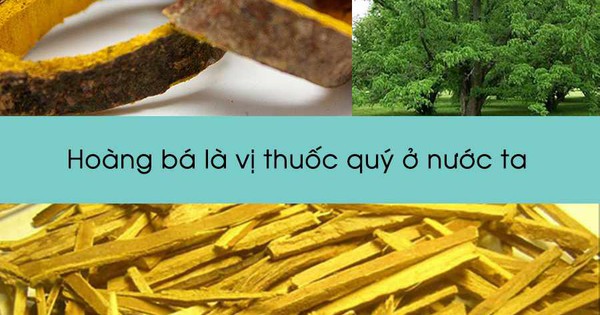 Các triệu chứng và biểu hiện của người mắc thận khí hư là gì?
