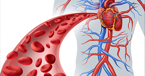 Khi hệ tim mạch bị suy giảm chức năng…