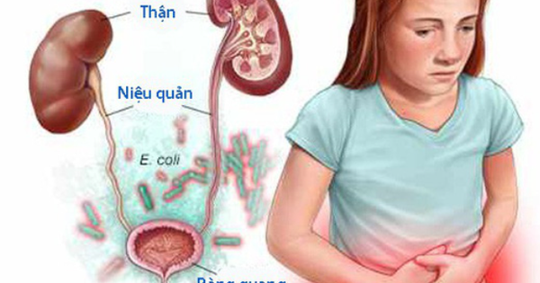 Proteus gây ra những loại nhiễm trùng nào ở con người?
