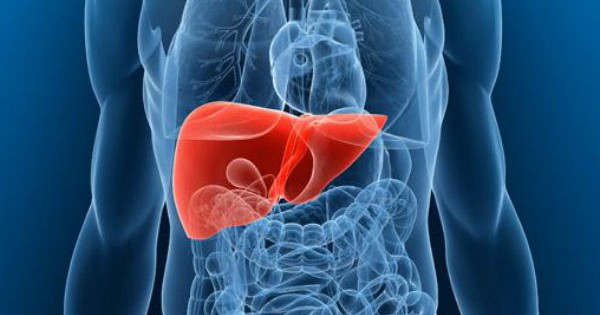 Liệu ph&aacute;p tự nhi&ecirc;n điều trị gan nhiễm mỡ