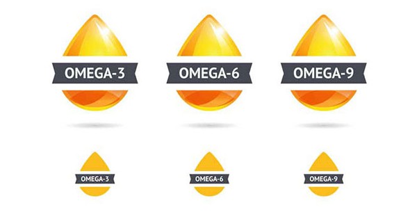 Omega 6 là chất béo thiết yếu trong cơ thể người?
