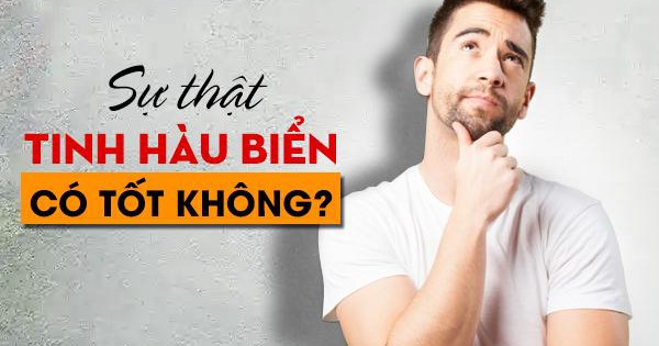 Sự thật tinh hàu biển có tốt không?