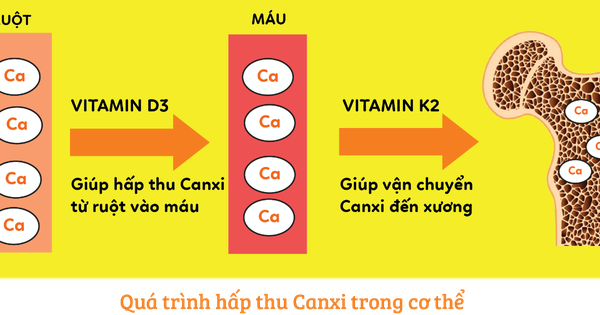 Thuốc canxi K2 có đặc điểm gì nổi bật so với những loại thuốc canxi khác?
