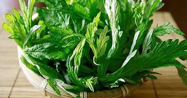How to use fresh wormwood water to regulate menstrual cycles?