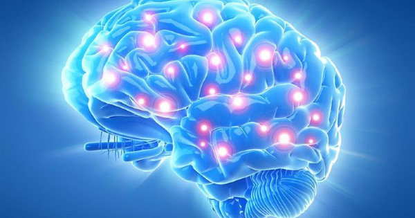Thuốc bổ não có tác dụng gì trong cơ thể?
