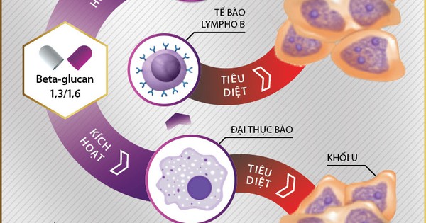 Có tác dụng phụ nào khi sử dụng Yestimun Beta Glucan không?
