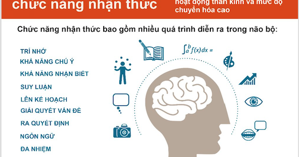 Chức Năng Nhận Thức: Khám Phá Vai Trò và Phương Pháp Nâng Cao