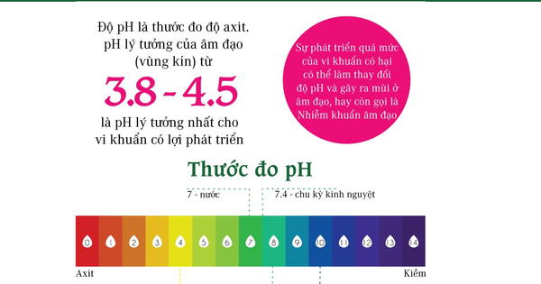 can-bang-do-pH-cho-vung-kin-4