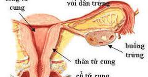 Những triệu chứng của viêm phổi sau khi cắt tử cung là gì?
