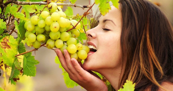 4 loại trái cây mùa thu rất tốt cho sức khỏe của bạn