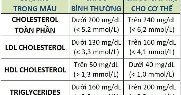 Chỉ số mỡ máu cao là gì?
