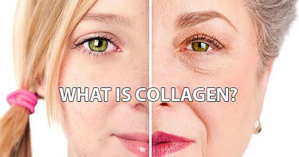 Hydrolysed collagen peptide có tác dụng làm chậm quá trình lão hóa không?
