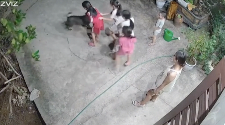 Hài hước khoảnh khắc ‘khối nghỉ hè’ trêu chó vui như Tết: Dân mạng cười ngất ‘xin vé về tuổi thơ’