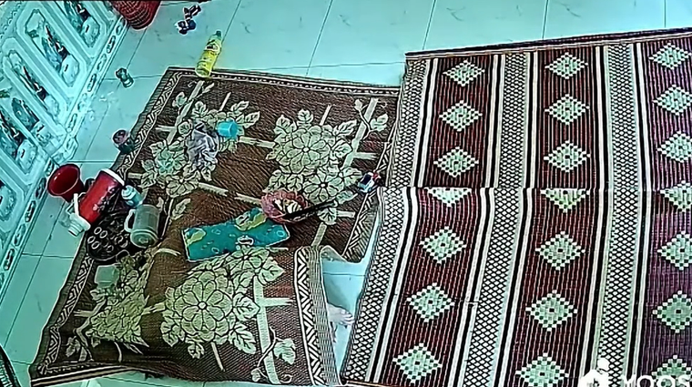 Thấy đàn ong ập vào nhà, người phụ nữ có pha 'núp lùm' cực nhanh